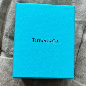 Tiffany & Co. Turquoise Gift Box